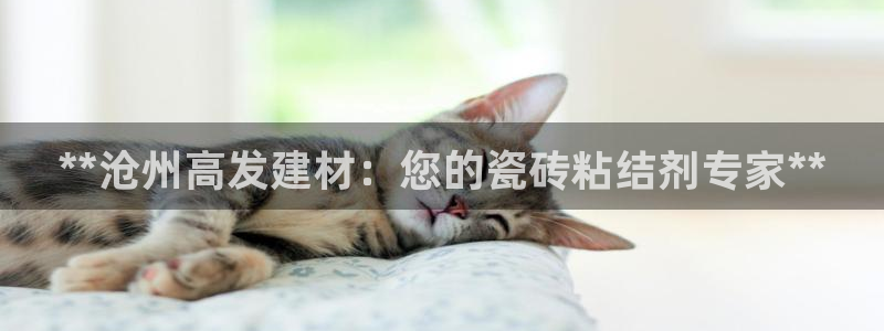 杏鑫3主管