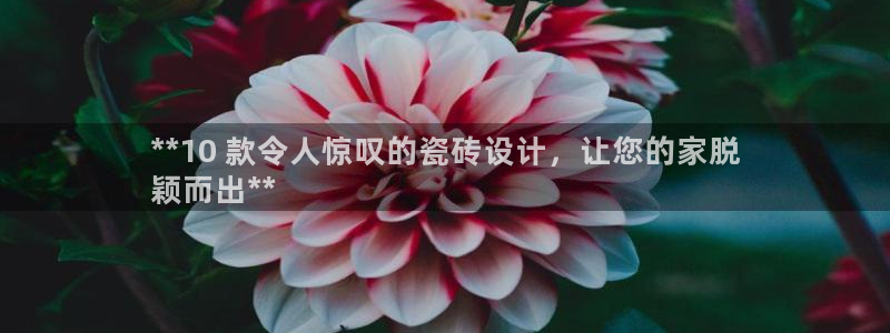 杏鑫平台代理注册流程视频