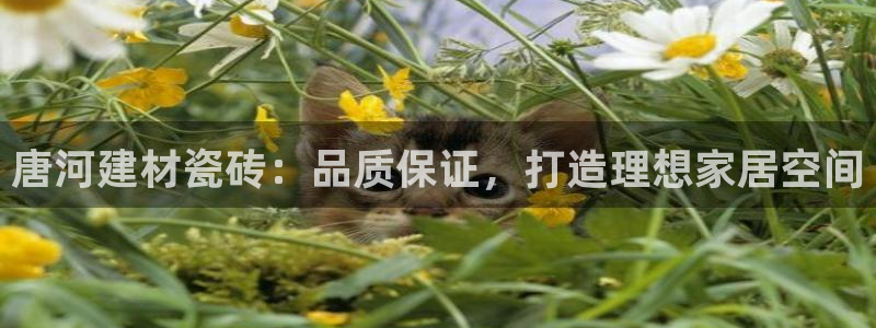 杏鑫平台注册地址在哪里