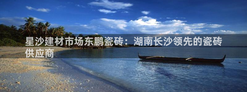 杏鑫平台怎么样知乎