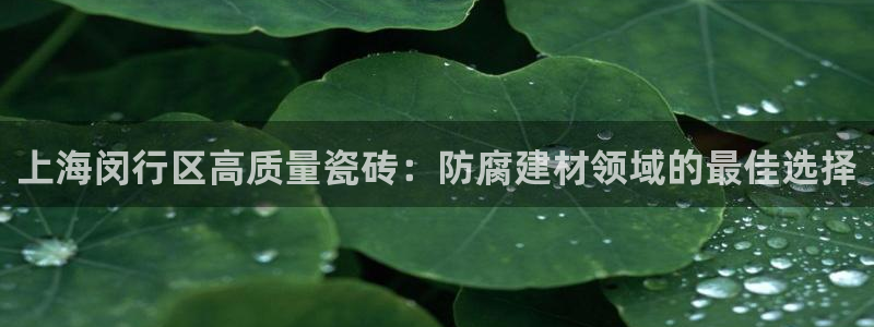 杏鑫平台直属哪个公司