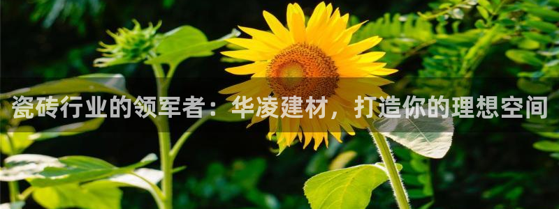 杏鑫娱乐靠谱吗