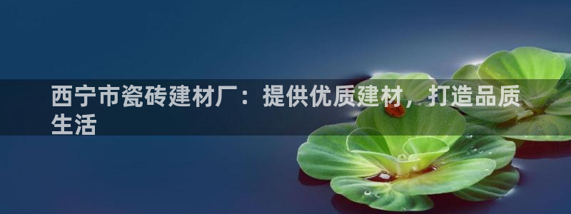 杏鑫平台登录地址查询