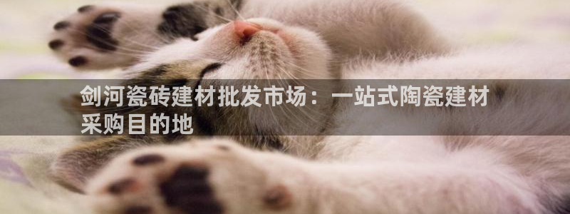 杏鑫平台招商怎么样啊