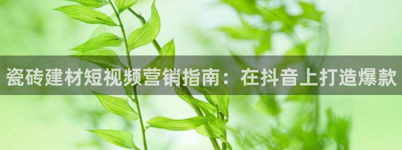 杏鑫娱乐怎么下