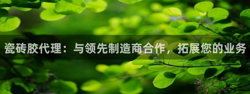杏鑫手机客户端怎么下载