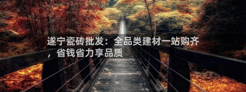 杏鑫平台注册网址