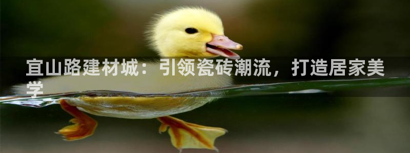 杏鑫平台注册登录