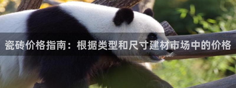 杏鑫官方app代理