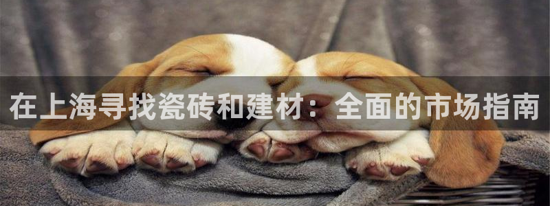 杏鑫娱乐官方网站客户端下载