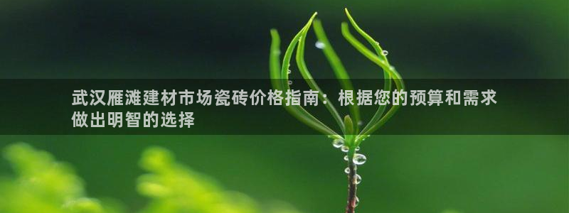 杏鑫注册登录平台是什么