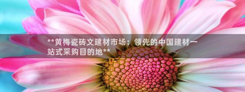 杏鑫平台代理怎么样