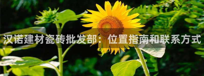 杏鑫平台代理注册登录不了怎么办呀视频