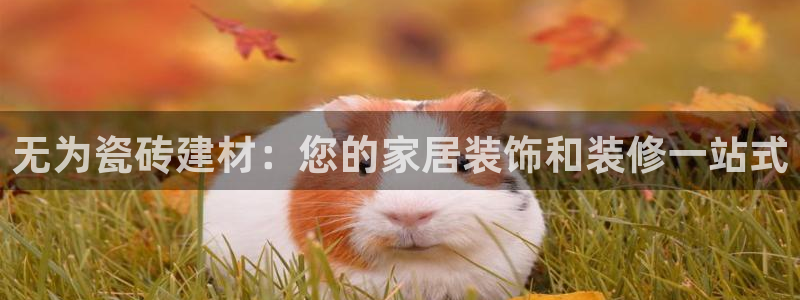 杏鑫平台在线注册怎么注册