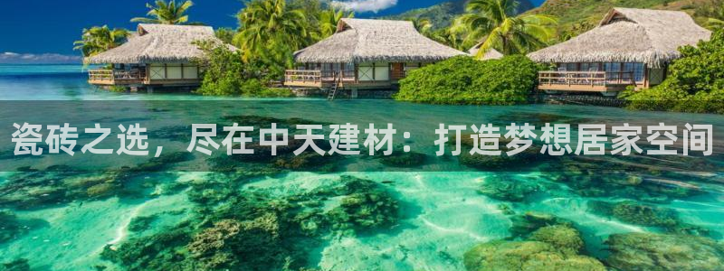 杏鑫平台号7O777