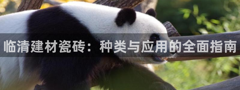 杏鑫注册平台官方网站入口