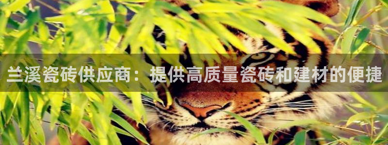杏鑫娱乐官网下载