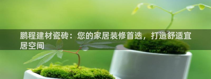 杏鑫官网注册账号是什么意思