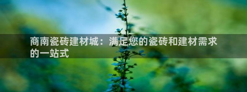 杏鑫官方平台怎么样
