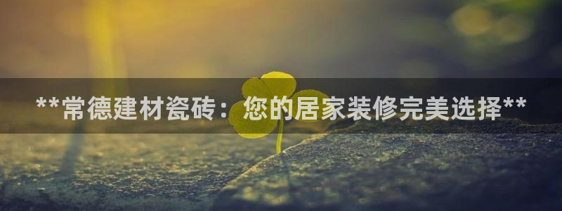 杏鑫平台官方网站