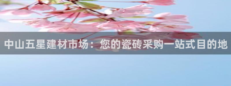 杏鑫平台线路测速