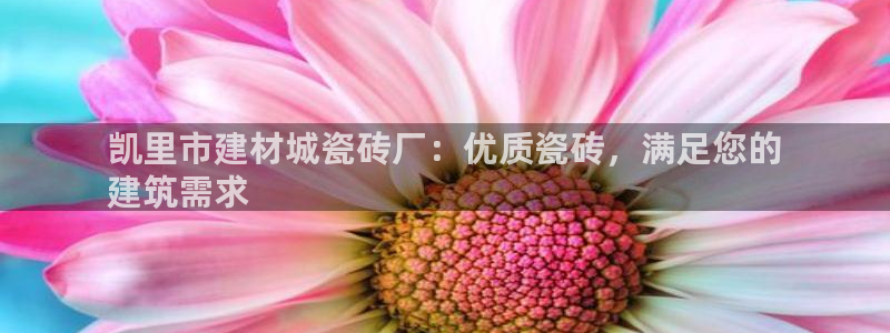 杏鑫注册地址