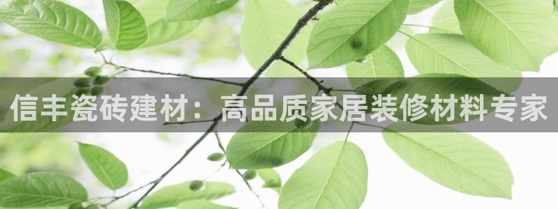 杏鑫平台登录地址在哪