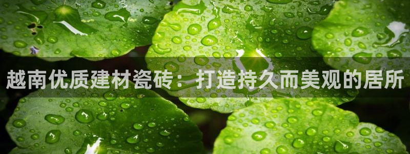 杏鑫注册平台官方网站下载