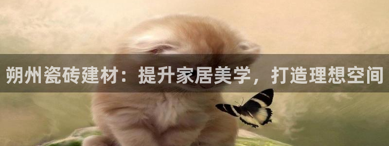 杏鑫注册平台官方网站入口