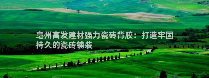 杏鑫代理注册平台