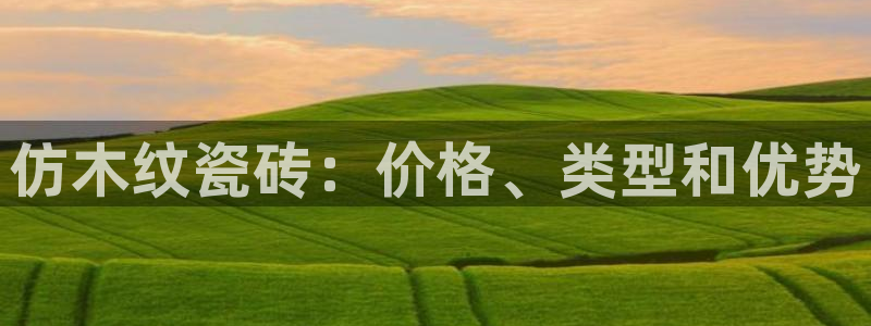 杏鑫平台代理怎么做赚钱