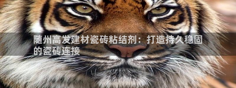 杏鑫平台代理怎么样