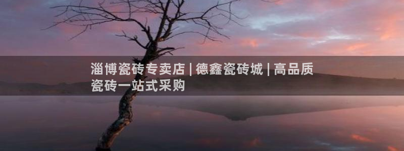 杏鑫平台代理注册