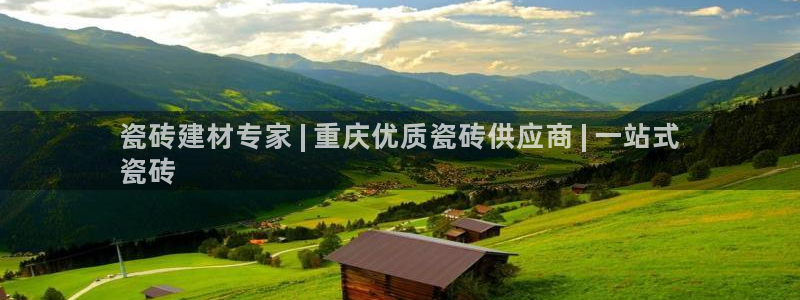杏鑫平台注册入口