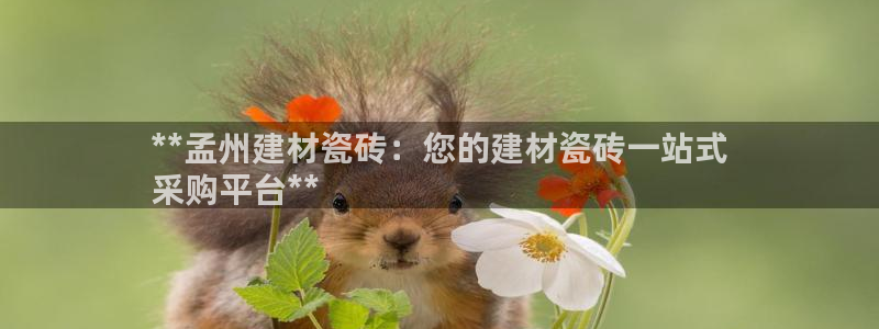 杏鑫手机客户端怎么下载