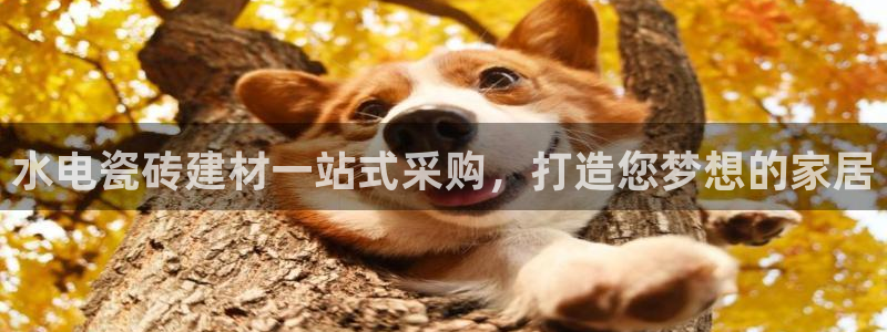 杏鑫娱乐官网