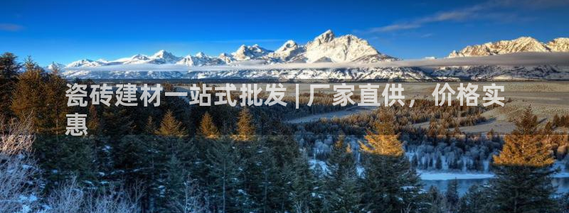 杏鑫官网注册账号是什么