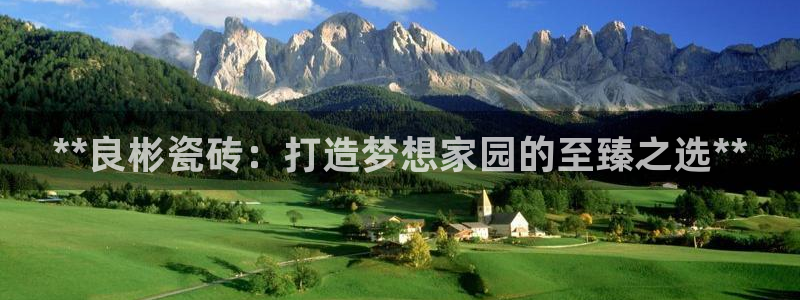 杏鑫娱乐开发团队