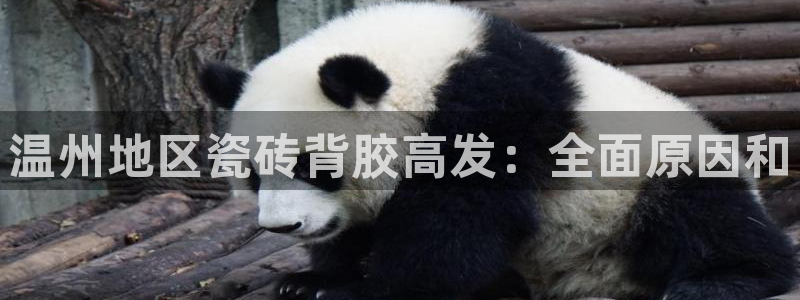 杏鑫平台登录地址是什么