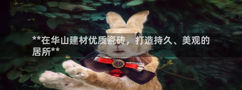 杏鑫平台招商电话