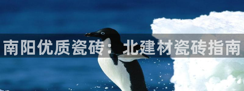 杏鑫娱乐平台