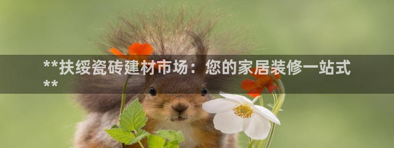 杏鑫平台注册网址是多少