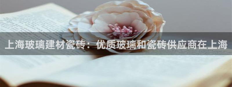 杏鑫平台招商电话