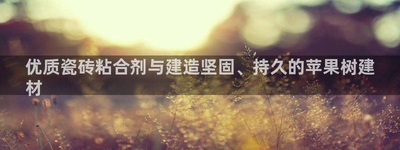 杏鑫平台代理注册流程图