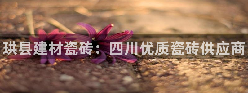 杏鑫平台招商电话号码查询