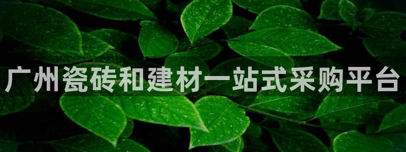 杏鑫官网注册账号密码