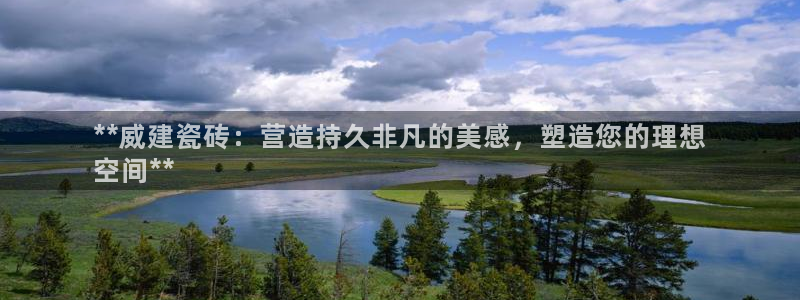 杏鑫平台平台
