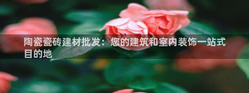 杏鑫平台代理怎么样