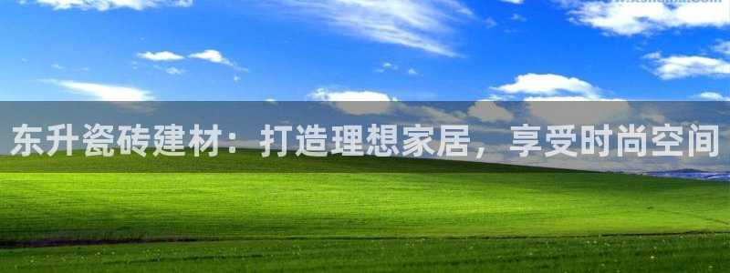 杏鑫3主管