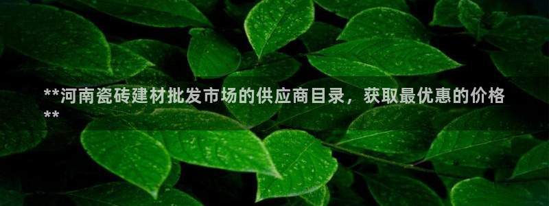 杏鑫平台代理注册流程